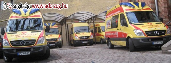 Peter Cerny Alapítvány a Beteg Koraszülöttek Gyógyításáért