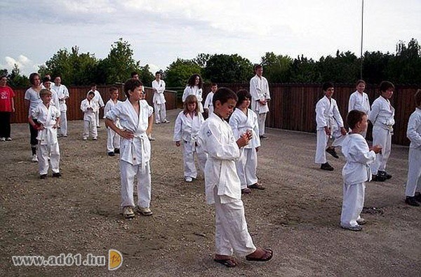 Budofight Karate Klub - Sporttevékenység