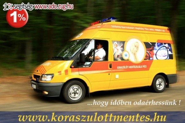Szívbeteg Gyermekekért Alapítvány