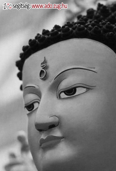Tibet-Európa Alapítvány