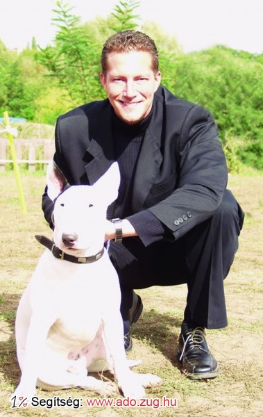 Magyar Bullterrier Baráti Társaság Fajtamentő Egyesület