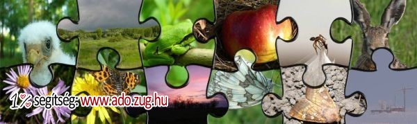 Bese Természetvédelmi Egyesület