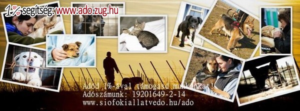 Siófoki Állatvédő Alapítvány