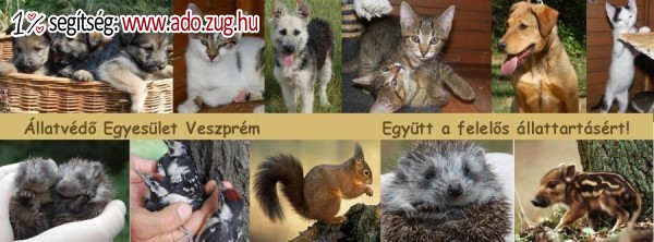 Állatvédő Egyesület Veszprém