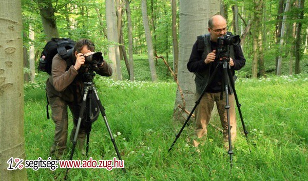Vadvilág Magyar Természetfotósok Egyesülete